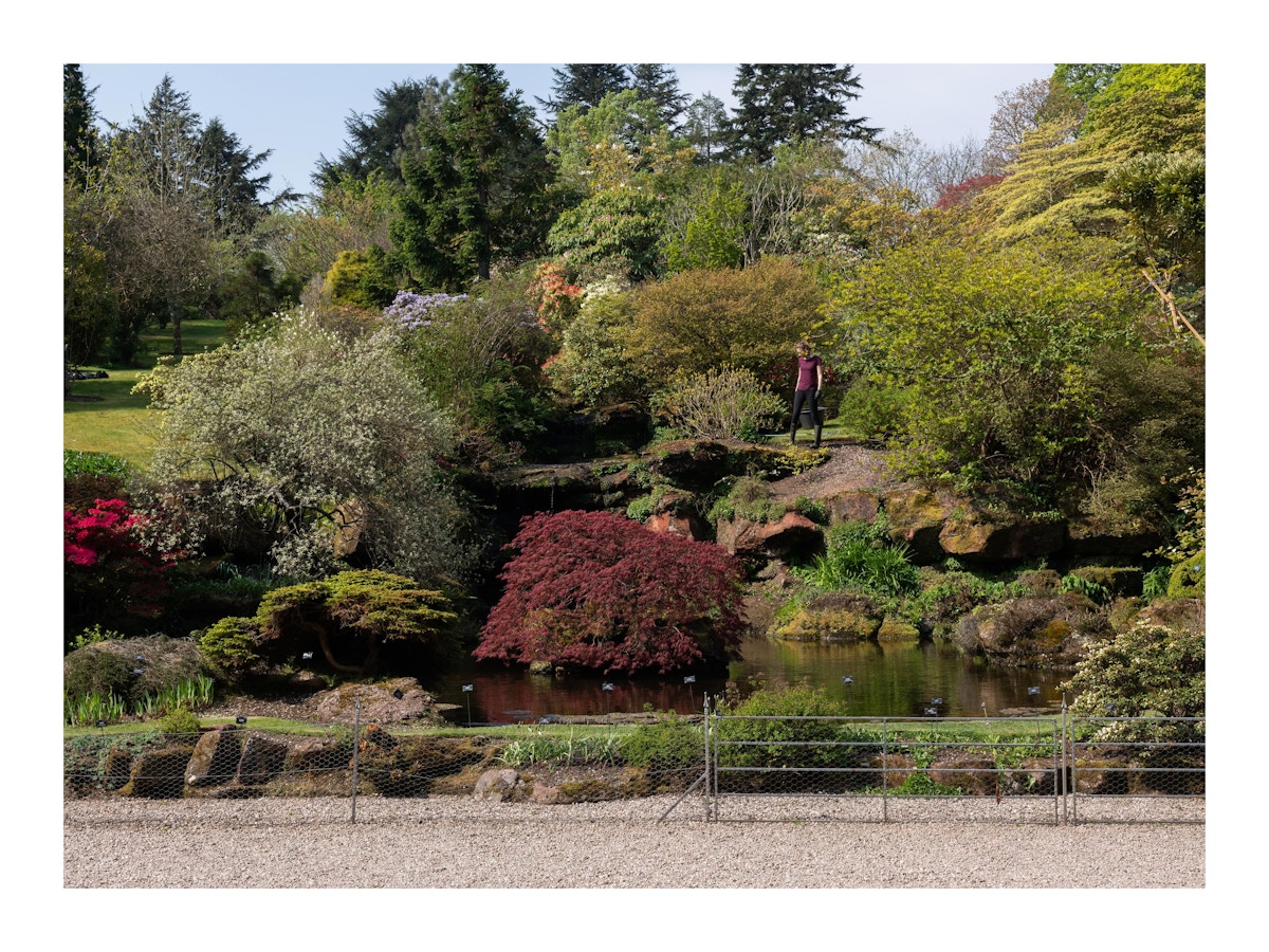 Different colours of shrubbery in the Mount Stuart garden.
